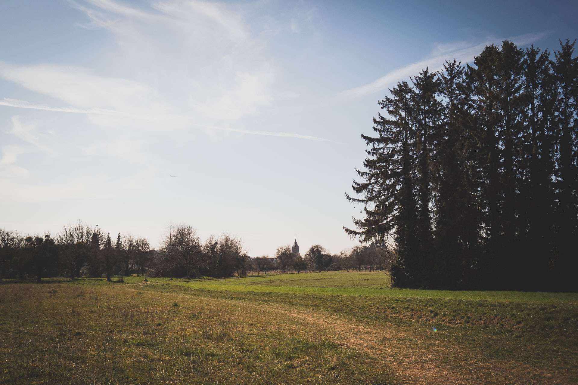 Online Hundetraining Hundetrainer Empfehlung