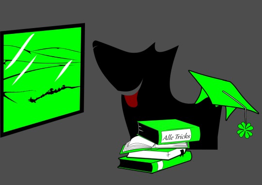 Glückbringer Master Online Hundeschule