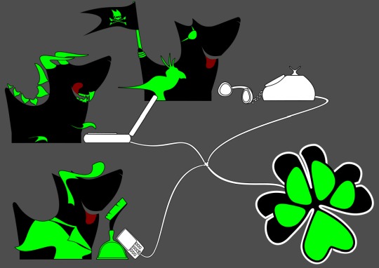 Online Coaching Hund Verhaltensberatung Problemloesung