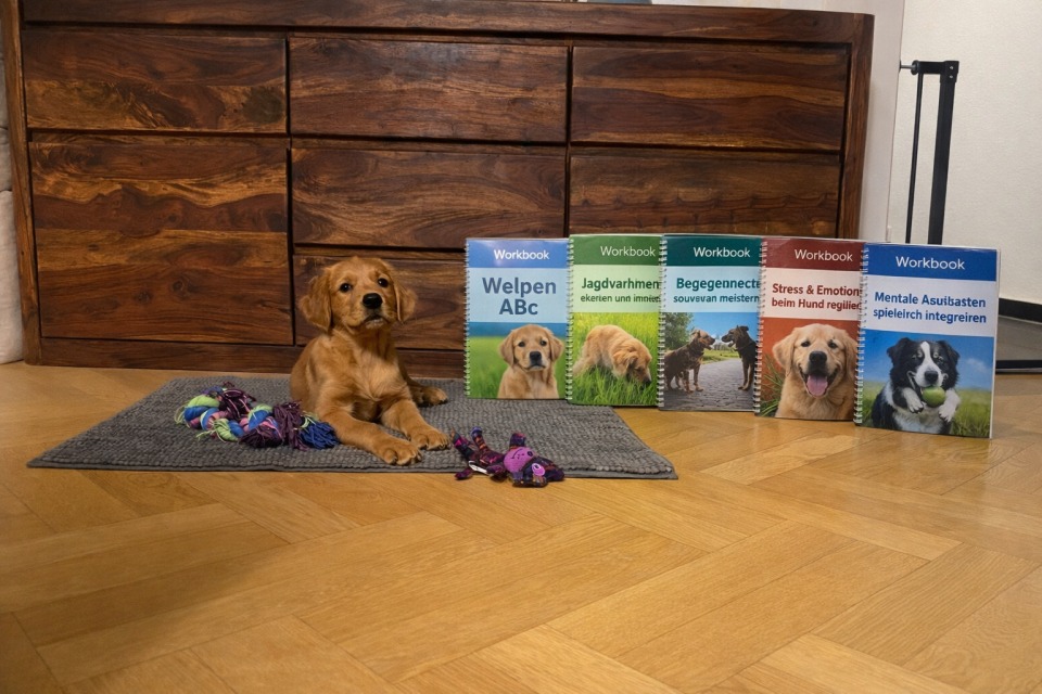 Workbooks Seminare Hundeschule Hofheim